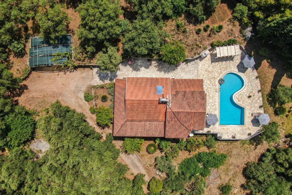 Villa Olive Grove And Sea View Ájos Spyrídon Eksteriør bilde