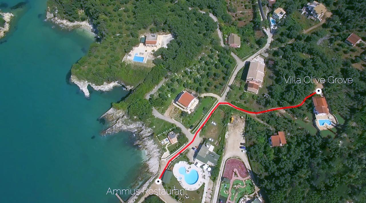 Villa Olive Grove And Sea View Ájos Spyrídon Eksteriør bilde
